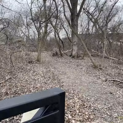 Adell Bridge and Walking Trail - Novi, MI