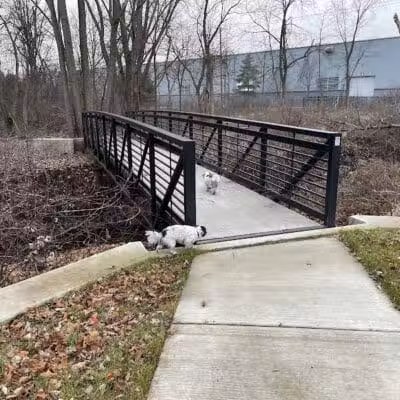 Adell Bridge and Walking Trail - Novi, MI