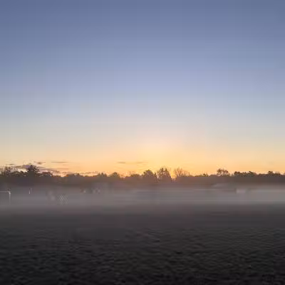 Bosco Fields - Novi, MI