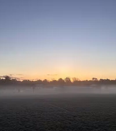 Bosco Fields - Novi, MI