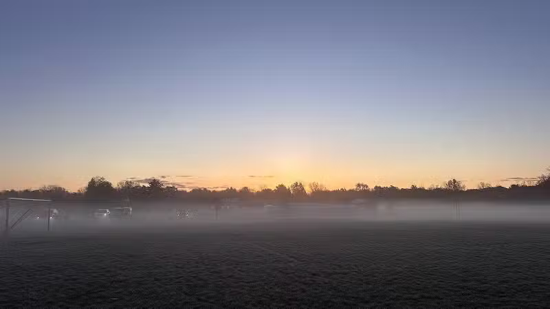 Bosco Fields - Novi, MI