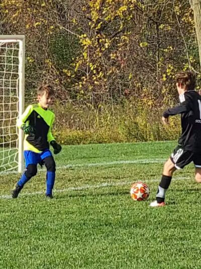 Bosco Fields - Novi, MI