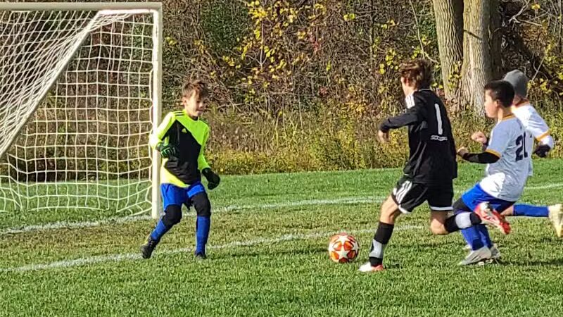 Bosco Fields - Novi, MI