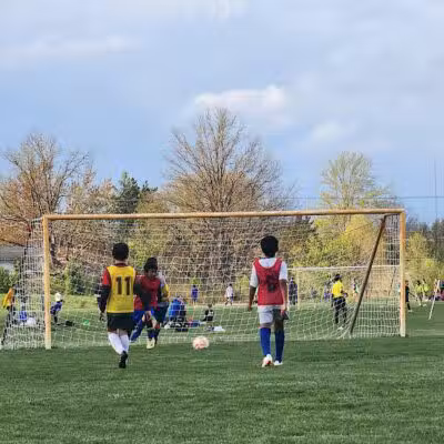 Bosco Fields - Novi, MI