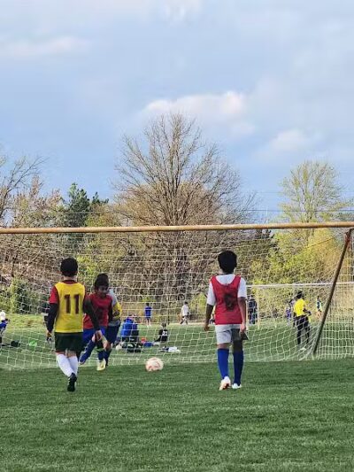 Bosco Fields - Novi, MI