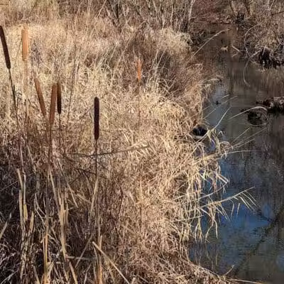 Brookfarm Park - Novi, MI