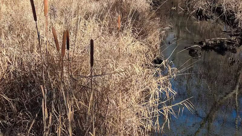 Brookfarm Park - Novi, MI