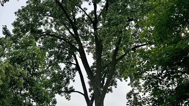 Brookfarm Park - Novi, MI