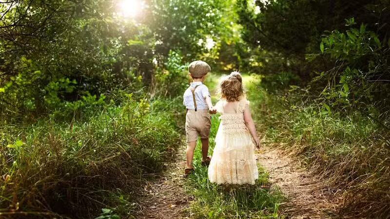 Brookfarm Park - Novi, MI