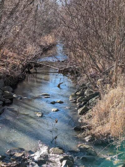 Brookfarm Park - Novi, MI