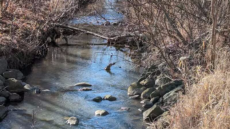 Brookfarm Park - Novi, MI