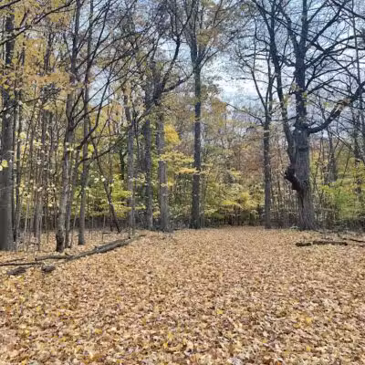 Ella Mae Power Park - Novi, MI