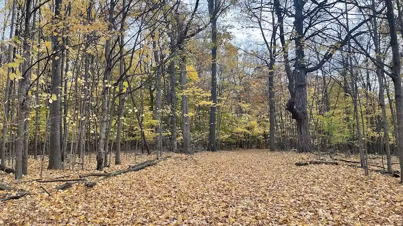 Ella Mae Power Park - Novi, MI