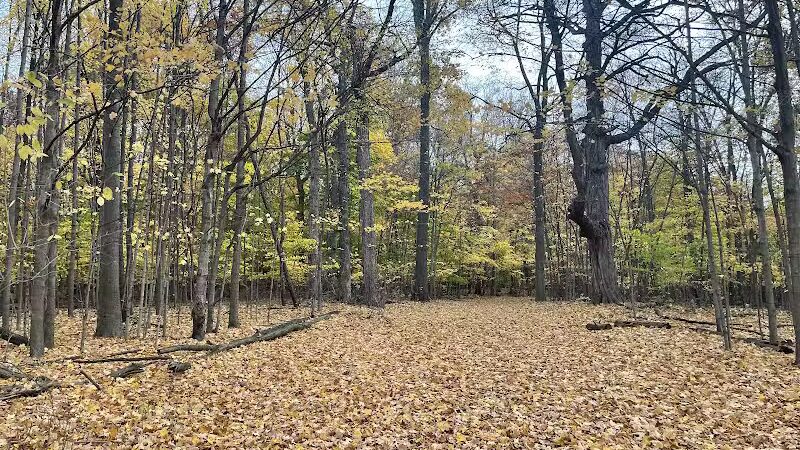 Ella Mae Power Park - Novi, MI