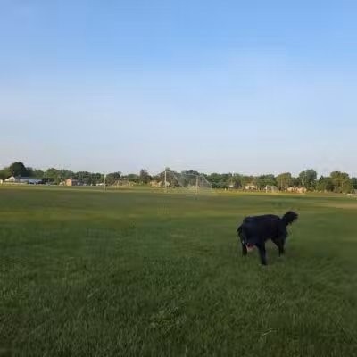 Ella Mae Power Park - Novi, MI