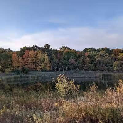 Ella Mae Power Park - Novi, MI
