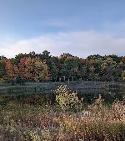 Ella Mae Power Park - Novi, MI