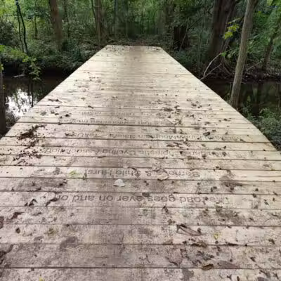Lakeshore MTB Trailhead (North) - Novi, MI
