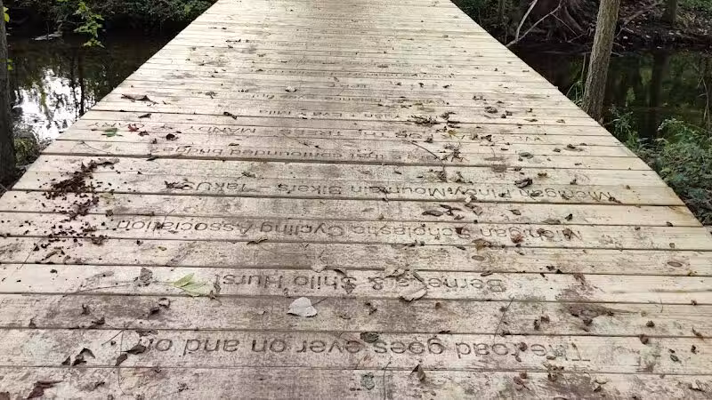 Lakeshore MTB Trailhead (North) - Novi, MI
