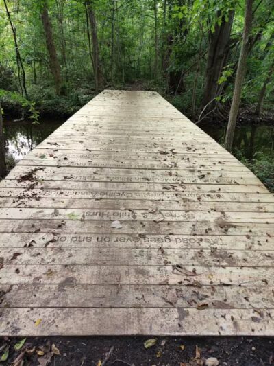 Lakeshore MTB Trailhead (North) - Novi, MI