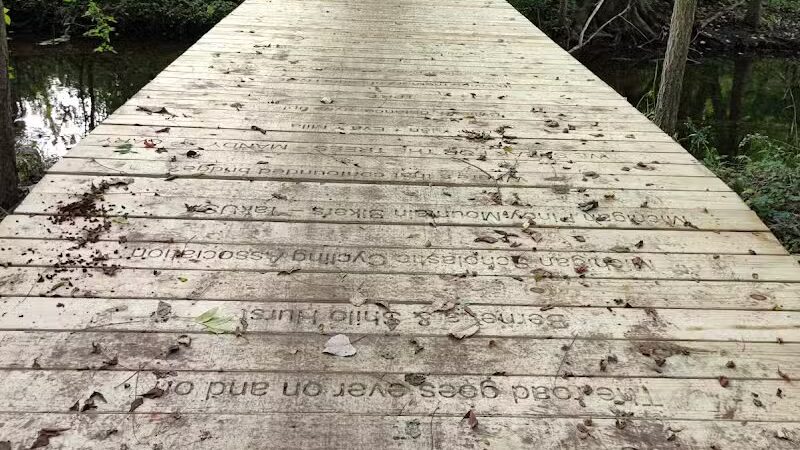 Lakeshore MTB Trailhead (North) - Novi, MI