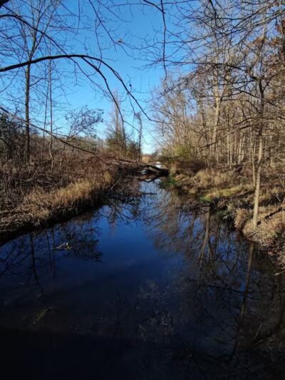 Lakeshore MTB Trailhead (North) - Novi, MI