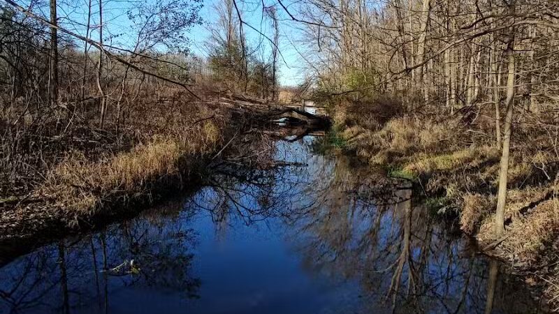 Lakeshore MTB Trailhead (North) - Novi, MI