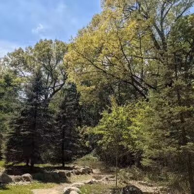 Lakeshore MTB Trailhead (North) - Novi, MI