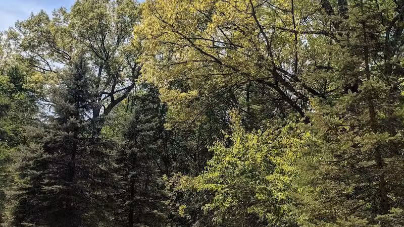 Lakeshore MTB Trailhead (North) - Novi, MI