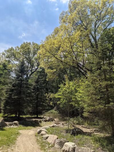 Lakeshore MTB Trailhead (North) - Novi, MI