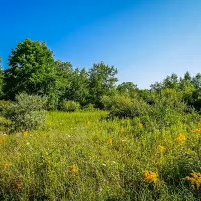 Lakeshore MTB Trailhead (North) - Novi, MI