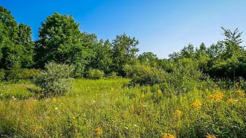 Lakeshore MTB Trailhead (North) - Novi, MI