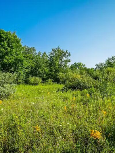 Lakeshore MTB Trailhead (North) - Novi, MI
