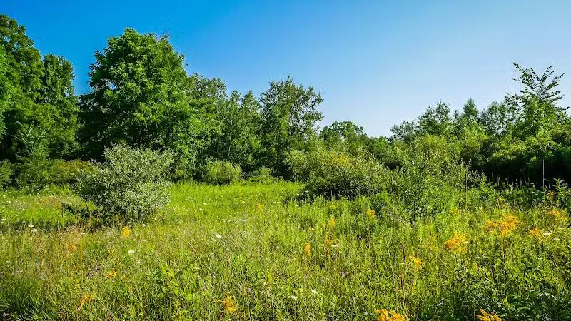 Lakeshore MTB Trailhead (North) - Novi, MI