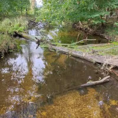 Lakeshore MTB Trailhead (North) - Novi, MI