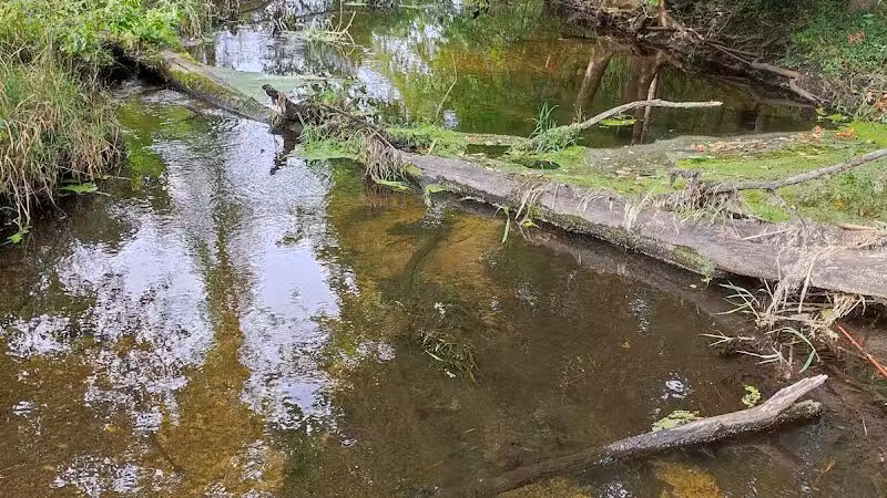 Lakeshore MTB Trailhead (North) - Novi, MI