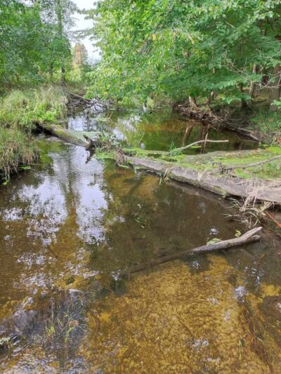 Lakeshore MTB Trailhead (North) - Novi, MI