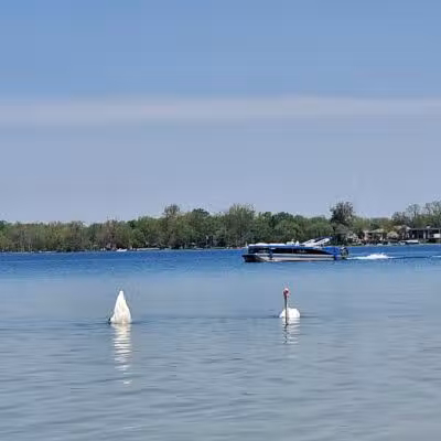 Lakeshore Park - Novi, MI