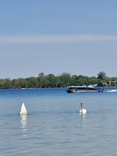 Lakeshore Park - Novi, MI