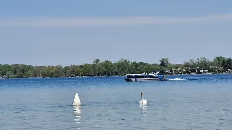 Lakeshore Park - Novi, MI