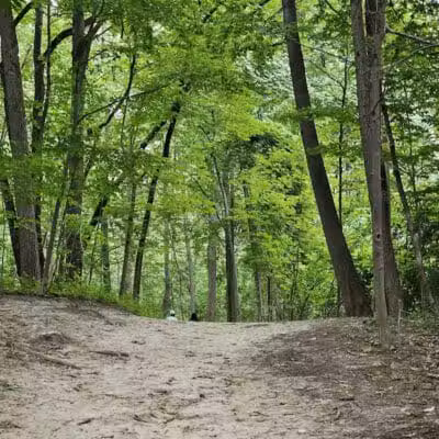 Lakeshore Park - Novi, MI