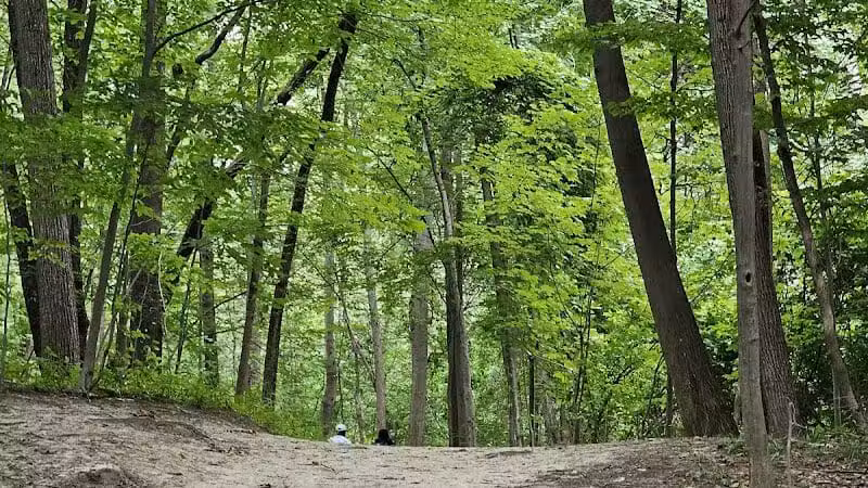 Lakeshore Park - Novi, MI