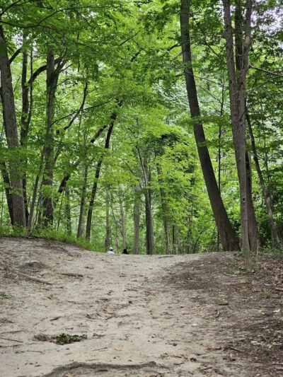 Lakeshore Park - Novi, MI