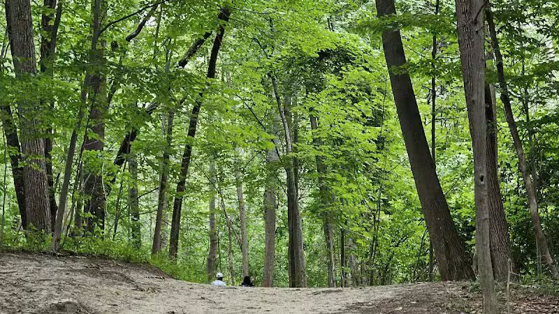 Lakeshore Park - Novi, MI