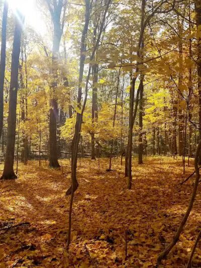 Lakeshore Park - Novi, MI