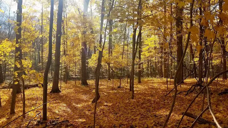 Lakeshore Park - Novi, MI