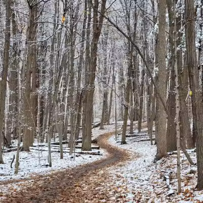 Lakeshore Park - Novi, MI