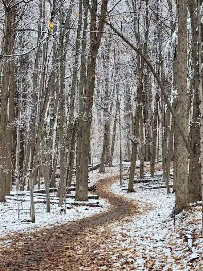 Lakeshore Park - Novi, MI