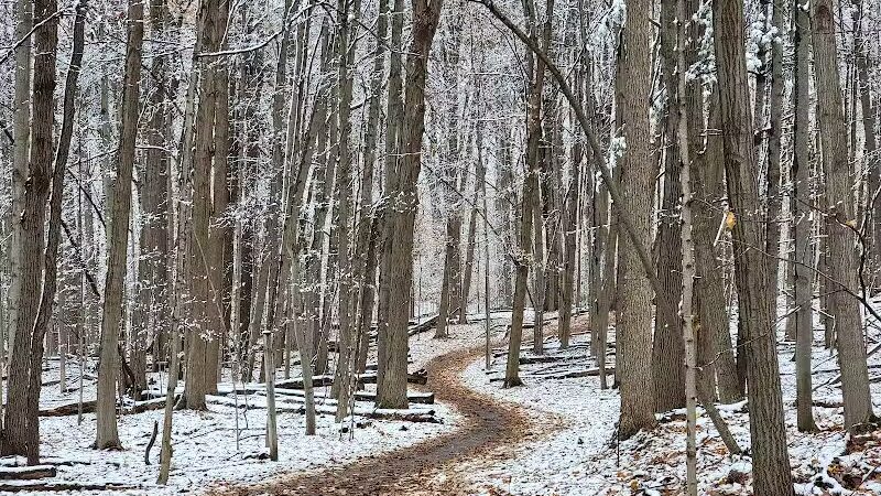 Lakeshore Park - Novi, MI