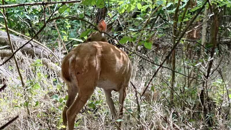 Lakeshore Park - Novi, MI